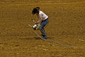 The competitor throws the goat to the ground in order to tie its legs