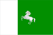 Tomsk city flag.png