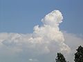 Cumulus (stapelwolk, hoopwolk)