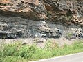 Image 10Bituminous coal seam in southwestern West Virginia (from West Virginia)