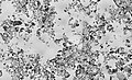 Image 2Diatomaceous earth, by Richard Wheeler (from Wikipedia:Featured pictures/Sciences/Geology)