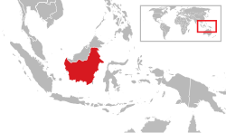 Kalimantan - Localizzazione