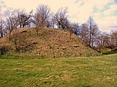 Photo d'une butte couverte d'herbe jaunie et coiffée de quelques arbres dénudés