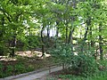 Am Bergsteig auffe zum Nockherberg