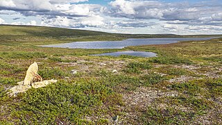 The Finnish-Norwegian border closely follows the watershed at the source.