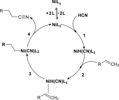 Allgemeiner Katalysecyclus der Hydrocyanierung