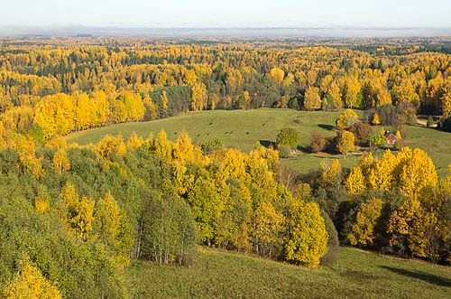 Sügisene vaade Rebasemõisa Tornimäe vaatetornist