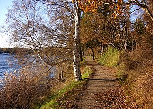 Strandpromenaden vid Kyrkviken är en del av Elfviksleden och Lidingöloppet.