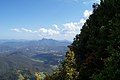 Mount Warning im Hintergrund