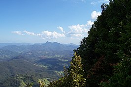 Mount Warning in het park