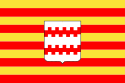 Vlag van Neerpelt