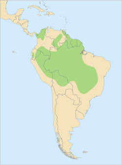      Distribución