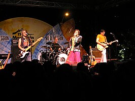 Hothouse Flowers in 2005