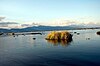 Lake with some floating plants