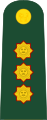 General de división (Peruvian Army)[25]