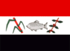 Flag of Pirassununga