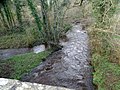 Le Léguer près de Trobodec.