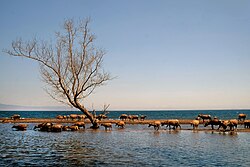 Pantai Hodo Dompu