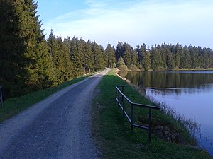 Teichdamm mit Überlauf, Mai 2012