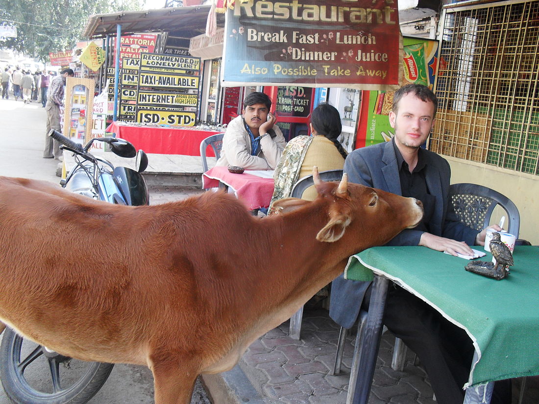 Me with a cow