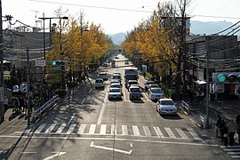 甲州街道のイチョウ並木