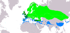 Distribución de Vanellus vanellus