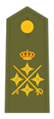 Divisa de general de ejército del Ejército de Tierra.