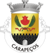 Brasão de armas de Carapeços