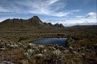 Páramo de Sumapaz