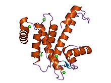 PDB 1nx3 EBI.jpg