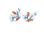 2h2r: Crystal structure of the human CD23 Lectin domain, apo form