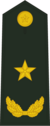 陆军少将