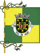 Bandeira de {{{município}}}