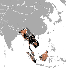 Área de distribución de Helarctos malayanus (cor marrón - presenza actual, cor negra - extinto, cor gris escura - presenza dubidosa)