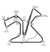 Jerez de la Frontera