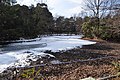 掻い掘り実施中の和田堀公園の和田堀池（2018年1月29日撮影）