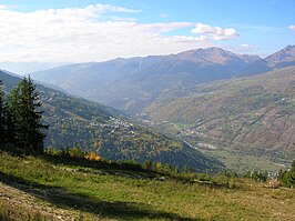 Tarentaise