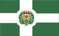 Bandeira de Santo Antônio da Alegria