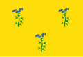 Vlag van Zuiddorpe