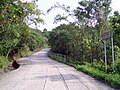 正式称为“马鞍山村路”