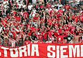 Nea Salamina Fans