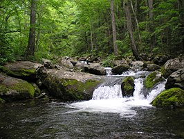 Snelstromende rivier in Zapovednik Lazovski.