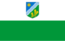 Drapeau de Comté de Tartu