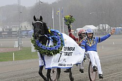 B.B.S.Sugarlight Olympiatravet 2015.jpg