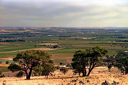 Barossa Valley 2