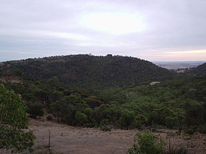 Barossa Ranges