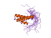 2dky: Solution structure of the SAM-domain of Rho-GTPase-activating protein 7