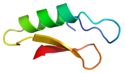 Plectasin (Pseudoplectania nigrella)