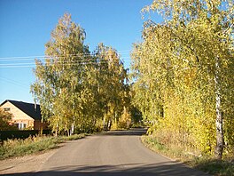 Болохово. Дорога на Новое село