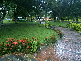 Puerto Rondón